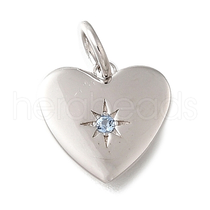 925 Sterling Silver Micro Pave Clear Cubic Zirconia Charms STER-V001-01P-12-1