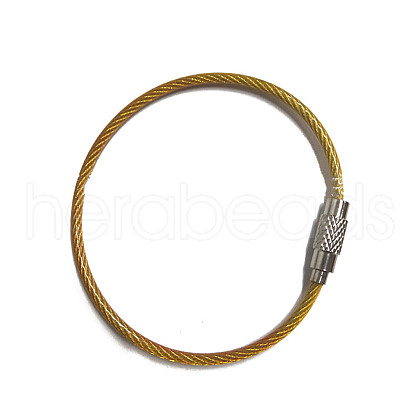 Stainless Steel Cable Wire Keychain AJEW-YWC0004-01C-1