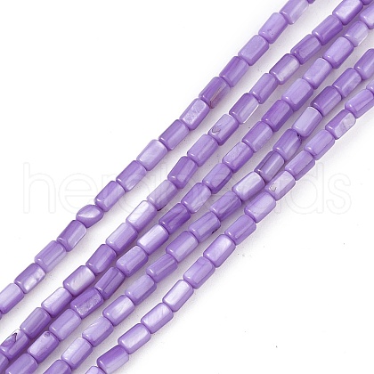 Natural Freshwater Shell Dyed Beads Strands SHEL-M018-12-04-1