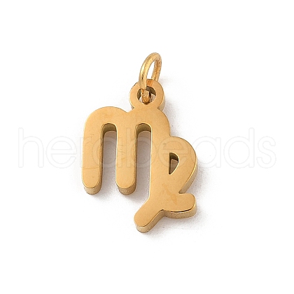 304 Stainless Steel Charms STAS-R001-04G-06-1