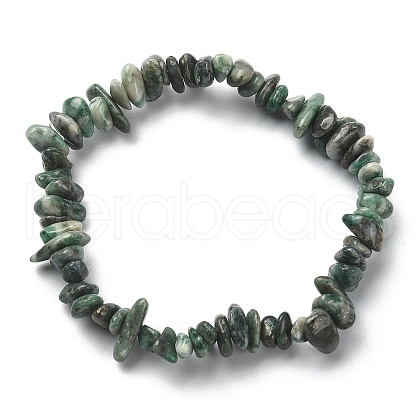 Natural South Africa Jasper Chips Beaded Stretch Bracelets BJEW-JB09476-02-1