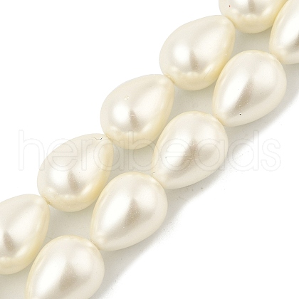 Teardrop Shell Pearl Beads Strands BSHE-XCP0001-12-1