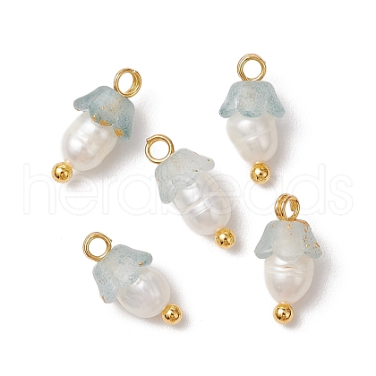 Flower Acrylic Charms PALLOY-JF03588-11-1