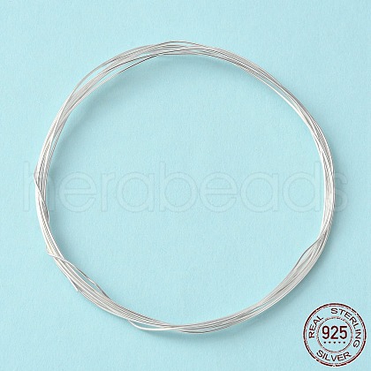 Dead Soft 925 Sterling Silver Wire STER-NH002-A-1