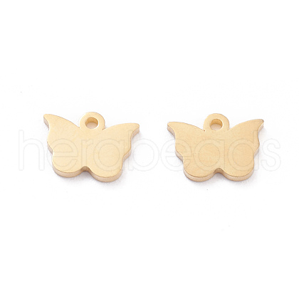 304 Stainless Steel Charms STAS-I151-17G-1