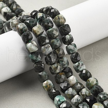 Natural Tree Agate Beads Strands G-H078-C48-6mm-1