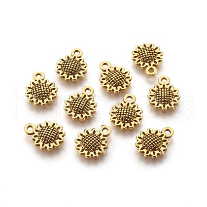 Tibetan Style Alloy Charms GLF10257Y-NF-1