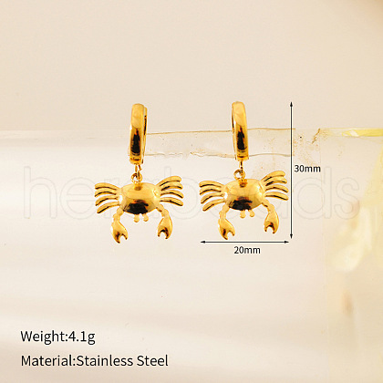 304 Stainless Steel Hoop Earrings FS-WG28AB1-04-1