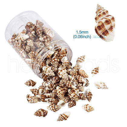 Spiral Shell Pendants SSHEL-TA0001-02-1