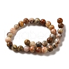 Natural Crazy Lace Agate Round Bead Strands G-M272-03-6mm-4