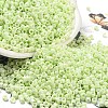Baking Paint Glass Seed Beads SEED-S042-05A-19-1