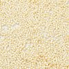 Baking Paint Glass Seed Beads SEED-S042-15B-25-3