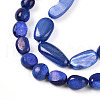 Natural White Shell Beads Strands SHEL-N036-21B-3