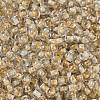 Transparent Inside Colours Glass Seed Beads X1-SEED-A032-04V-3