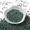 Baking Paint Glass Seed Beads X-SEED-S042-15A-15-2