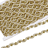 19.5M Polyester Wave Lace Ribbon OCOR-WH0100-02A-1