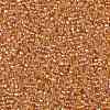 TOHO Round Seed Beads X-SEED-TR11-0162B-2