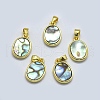 Shell Pendants SSHEL-O020-01E-G-1