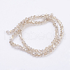 Glass Beads Strands X-EGLA-S056-09-2