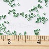MIYUKI Delica Beads SEED-J020-DB0605-4