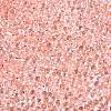 6/0 Baking Paint Transparent Glass Seed Beads X1-SEED-N006-06E-3