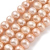 Natural Cultured Freshwater Pearl Beads Strands PEAR-C003-18B-2