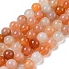 Natural Red Agate Beads Strands G-A248-A06-05-2