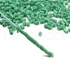 Two Cut Glass Seed Beads CSDB47-4