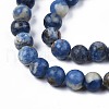 Natural Sodalite Beads Strands G-S279-10-6mm-4