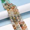 Natural Gemstone Beads Strands G-E571-09C-4