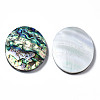 Natural Abalone Shell/Paua Shell Cabochons SSHEL-N034-87-3
