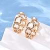 Alloy Silicone Clip-on Earrings EJEW-Z120-01G-01-3
