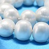 Oval Shell Pearl Bead Strands BSHE-L013-S-A013A-4