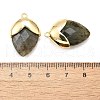 Natural Labradorite Pendants G-U019-03B-07-3