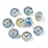 Resin European Beads RPDL-N014-06-03-1
