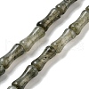 Natural Labradorite Beads Strands G-Q178-A09-01-1