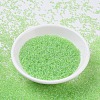MIYUKI Round Rocailles Beads X-SEED-G007-RR0228-2