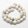 Natural Howlite Nuggets Bead Strands G-L288-08-2