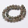 Natural Labradorite Beads Strands G-K209-04D-10mm-2