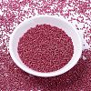 MIYUKI Delica Beads SEED-X0054-DB1841-2