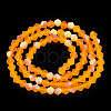 Imitate Austrian Crystal Bicone Frosted Glass Beads Strands X-EGLA-A039-T6mm-MB23-3