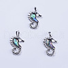 Abalone Shell/Paua Shell Pendants SSHEL-L008-05P-1