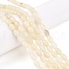 Natural White African Opal Beads Strands G-N346-02B-10-3