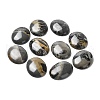 Natural Dendritic Jasper Cabochons G-F608-02A-01-1