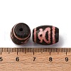 Tibetan Style dZi Beads TDZI-NH0001-E02-04B-3