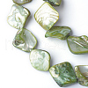 Natural Dyed Sea Shell Beads S00EA041-2