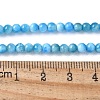 Natural Apatite Beads Strands G-F674-04-4mm-3
