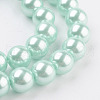 Eco-Friendly Dyed Glass Pearl Round Beads Strands HY-A002-10mm-RB034N-3