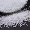MIYUKI Delica Beads SEED-J020-DB0741-1