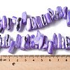 Dyed Natural Trochus Shell Beads Strands SSHEL-C013-09N-4